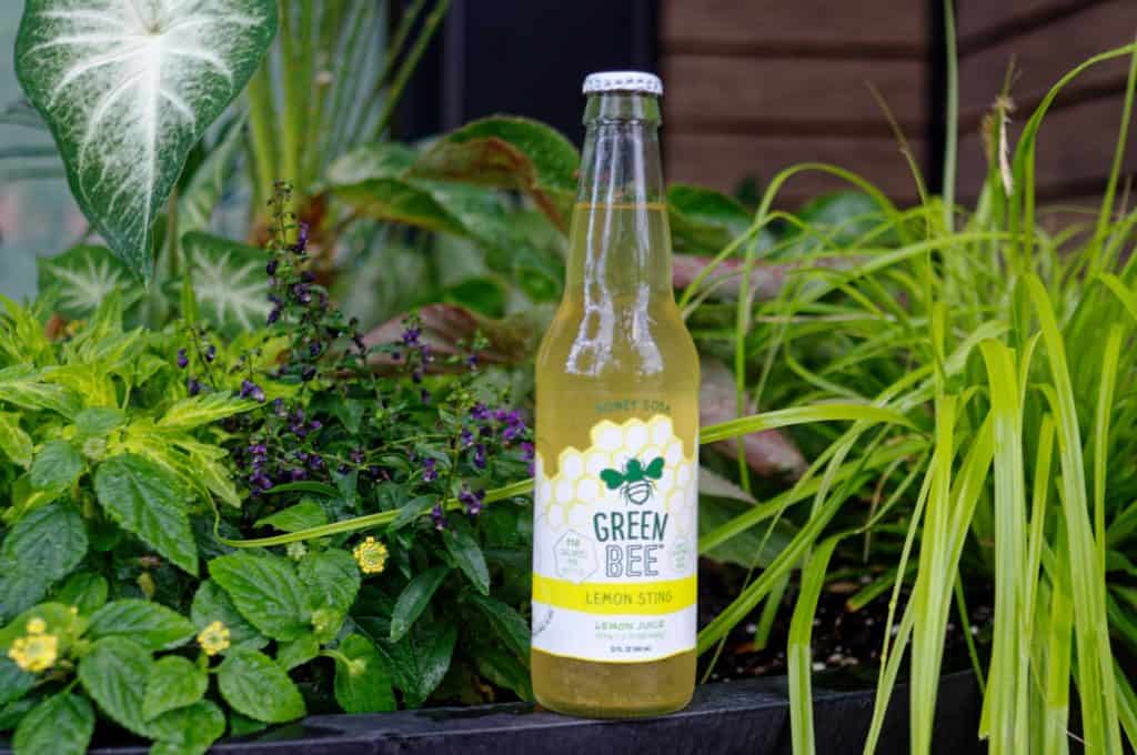 Green Bee Honey Soda Lemon Sting Review