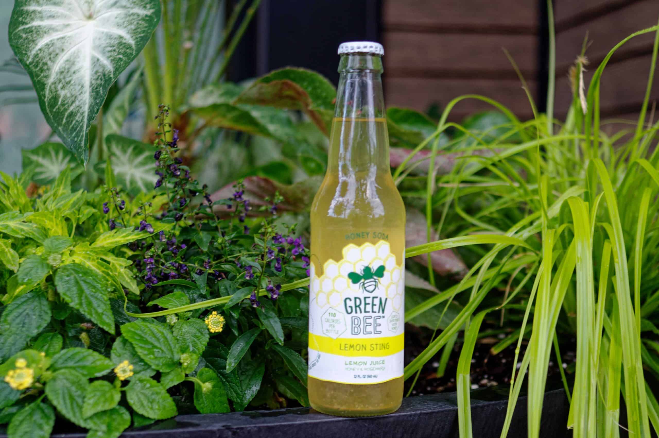 Green Bee Honey Soda Review | Lemon Sting