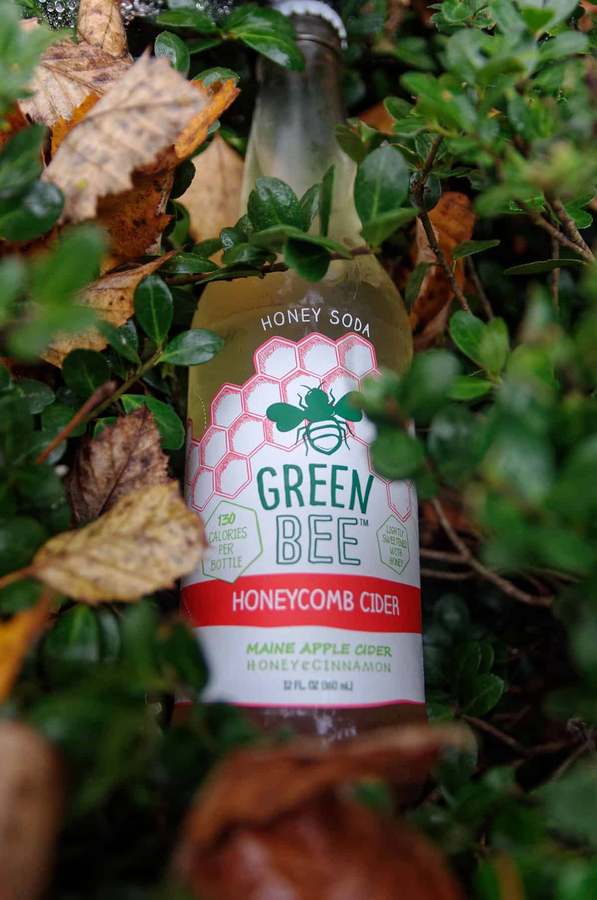 Green Bee Honey Soda Honeycomb Cider Review