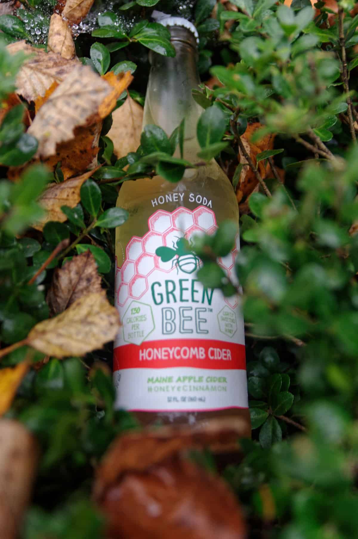 Green Bee | Honeycomb Cider Review