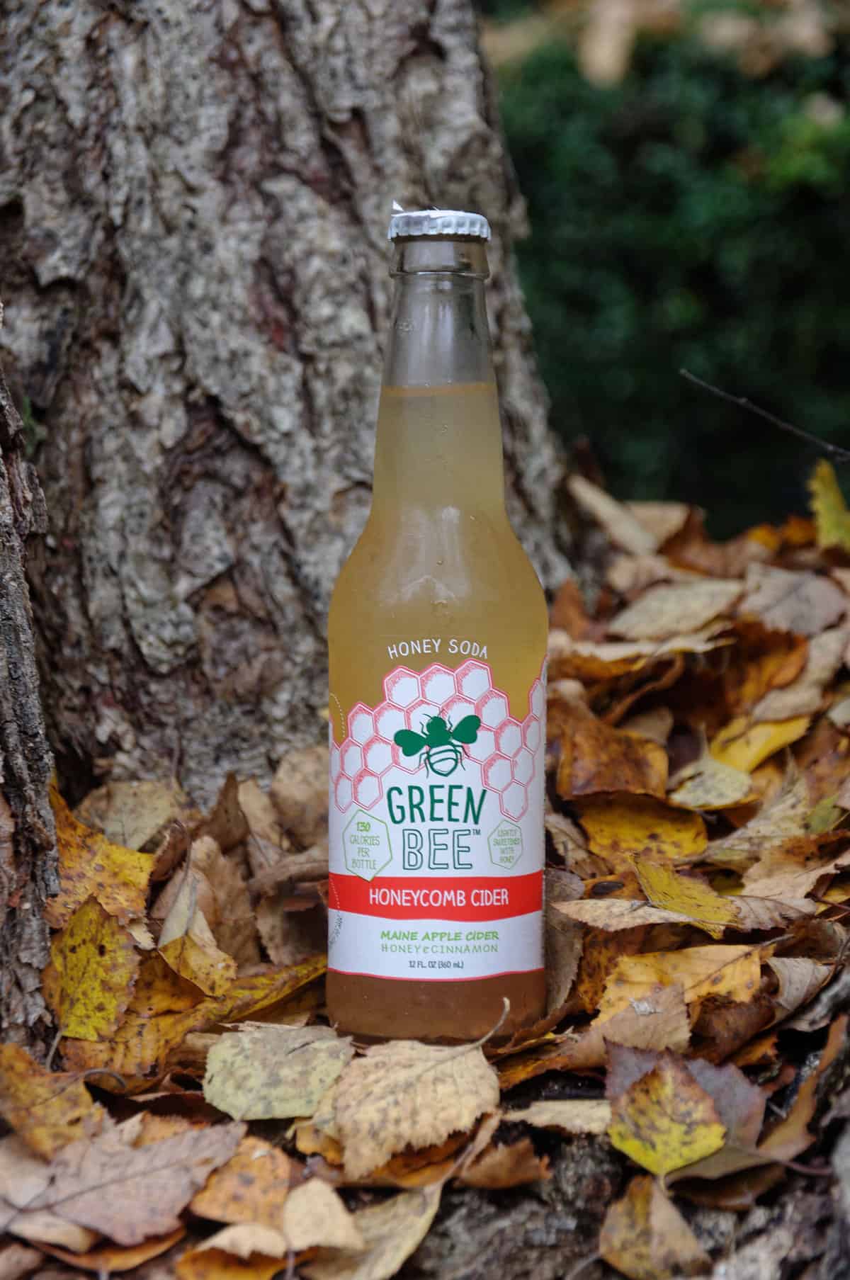 Green Bee Soda Honeycomb Cider 12oz bottle $2.49 in a fall backdrop with rustic leaves