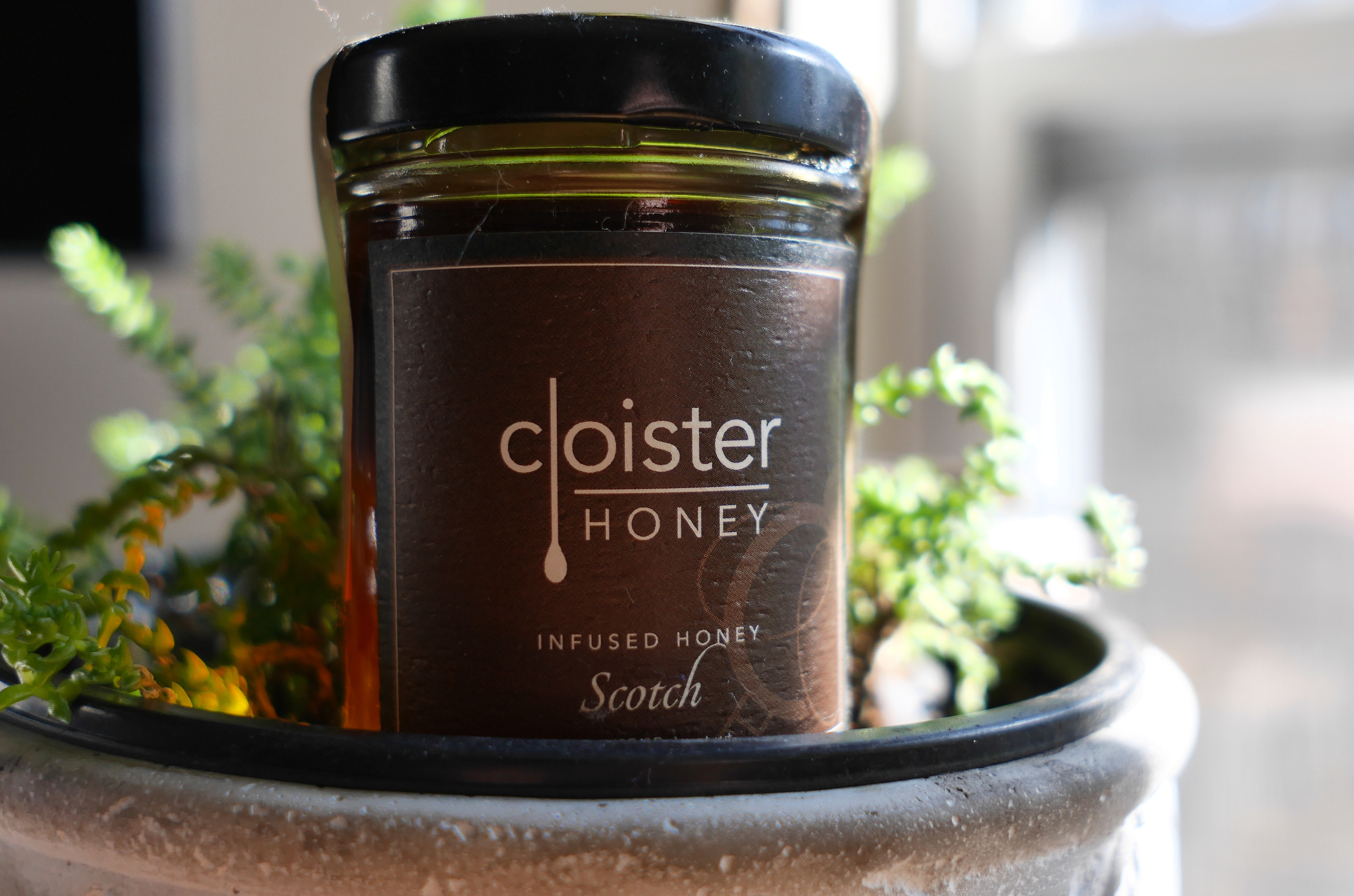 Cloister Infused Scotch Honey The Honey Review, Charlotte, NC