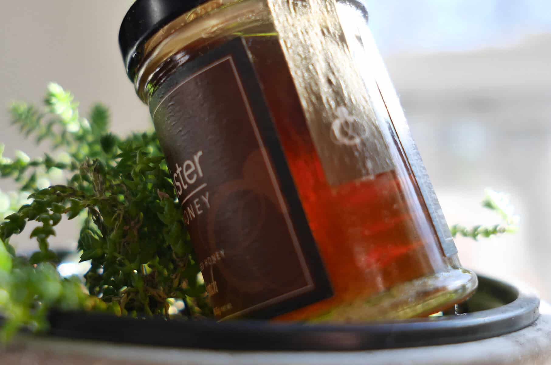 Cloister Infused Scotch Honey
