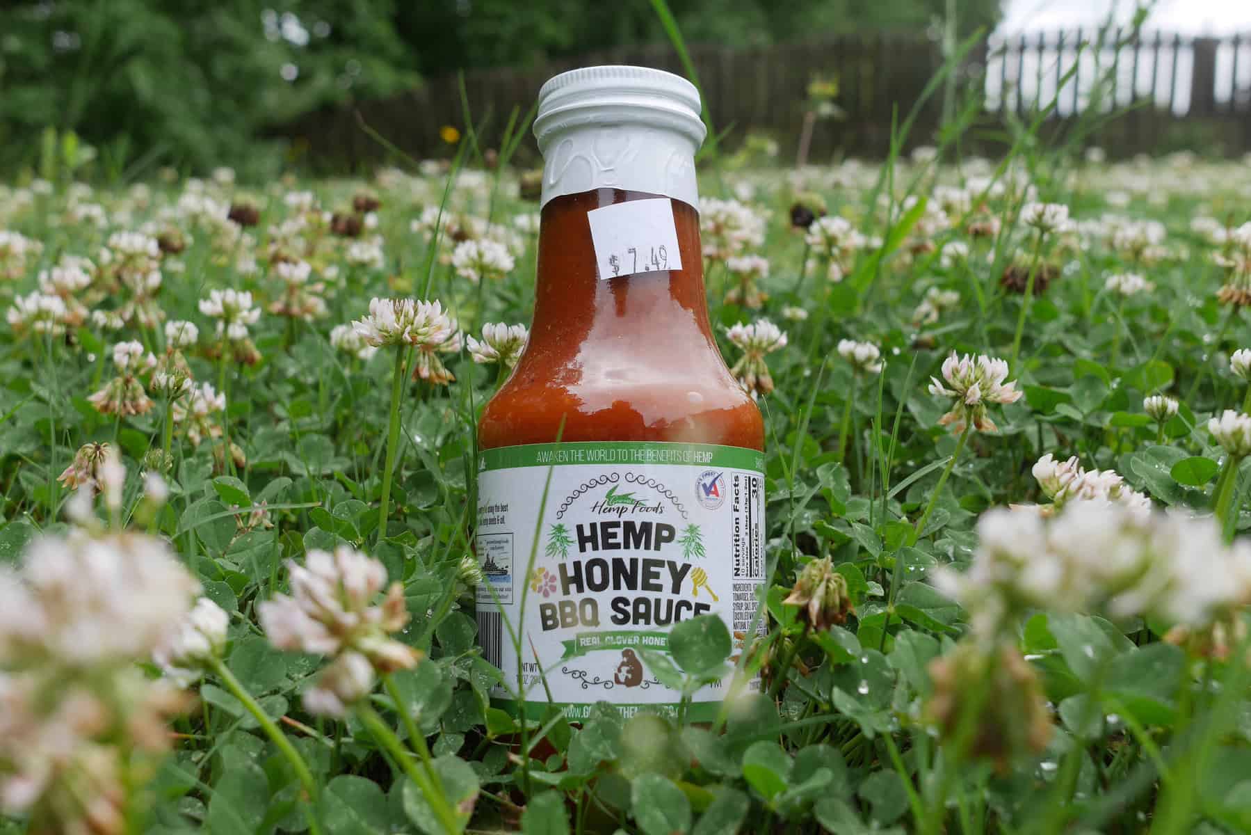 Gourmet Hemp Foods | Hemp Honey BBQ Sauce Review