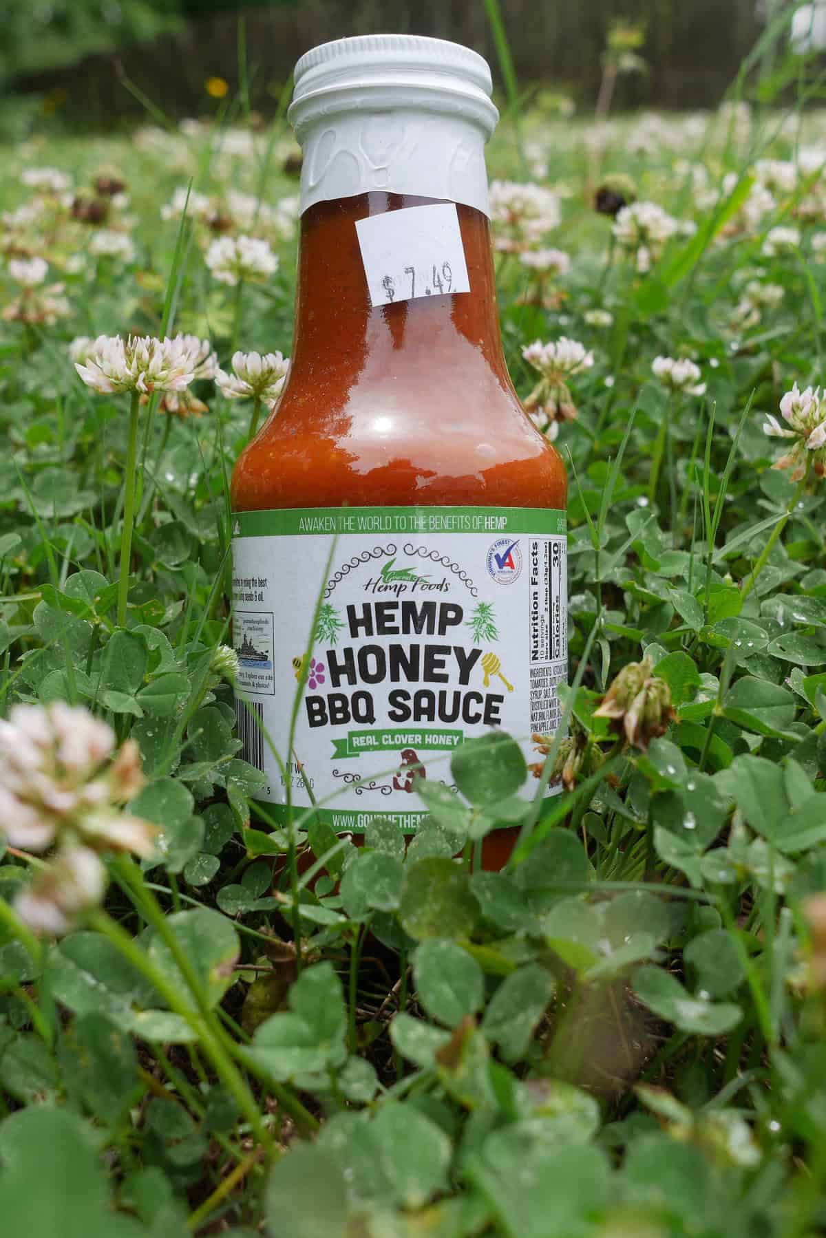 Gourmet Foods Hemp Honey BBQ Sauce with Clover Bottle 