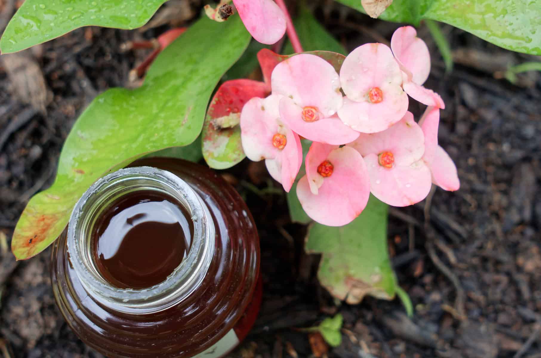 photo of moon's honey house raw honey opened with flowers