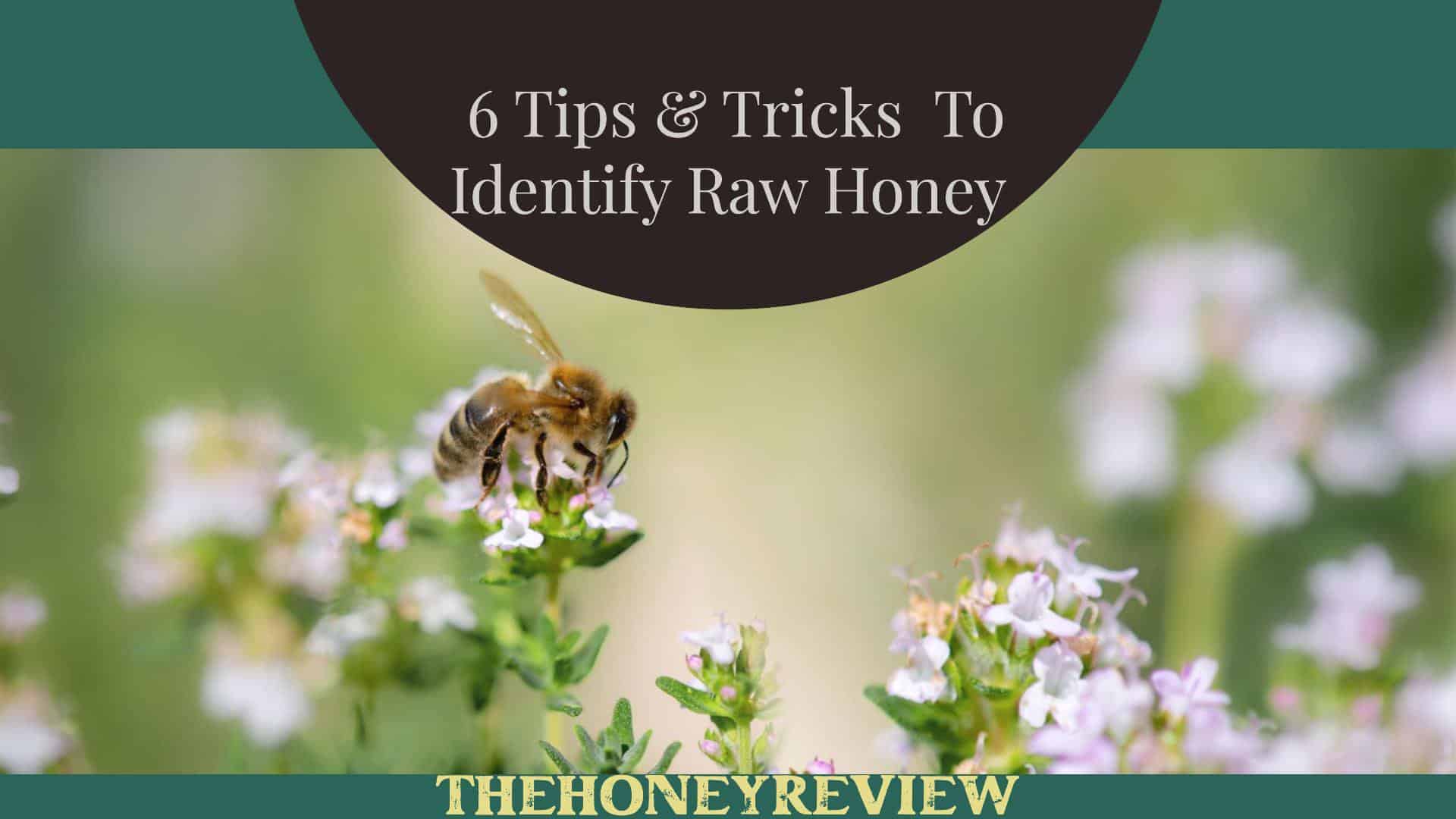 How to Identify Real Raw Honey: 6 Tips and Tricks