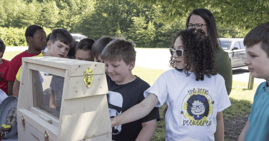 the little beekeeper, elderberry syrup, observation hive, kids, 