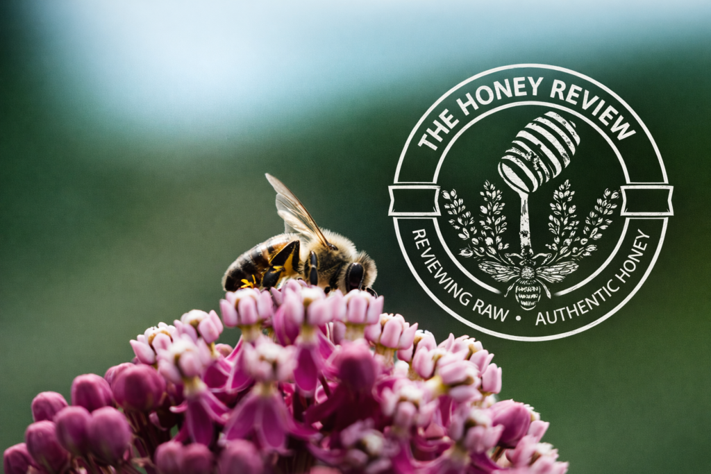 honey review featured home image