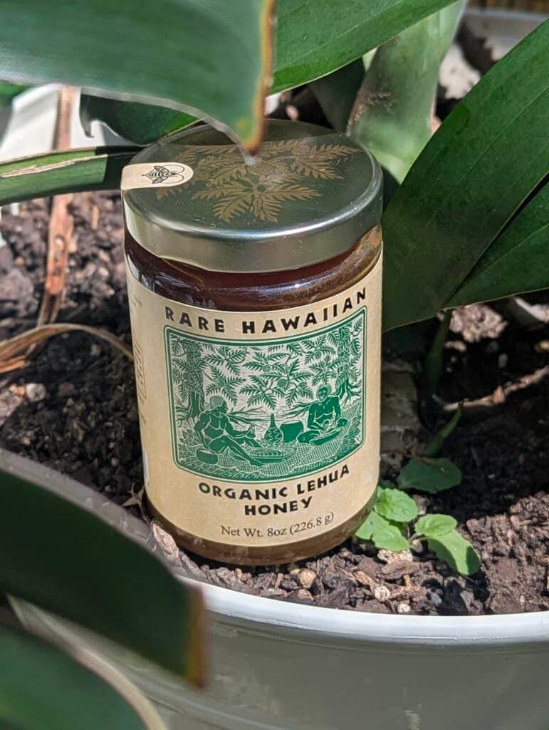 Jar of organic Lehua honey from Hawaii among green plants.