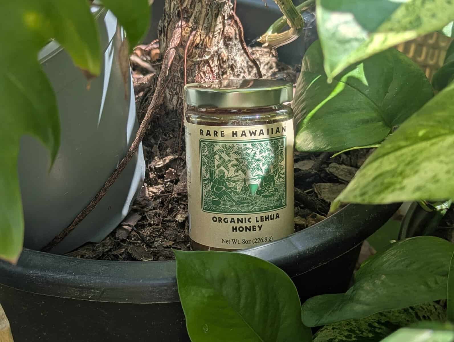 The Liquid Gold of Mauna Loa: ‘Ōhi‘a Lehua Hawaiian Honey Audit