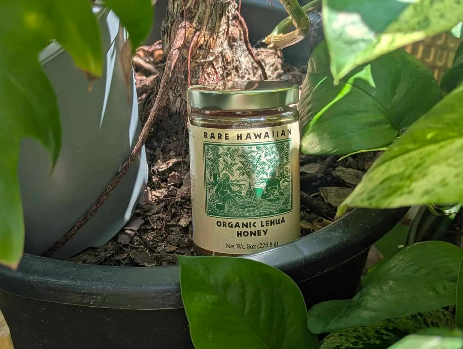 The Liquid Gold of Mauna Loa: ‘Ōhi‘a Lehua Hawaiian Honey Audit