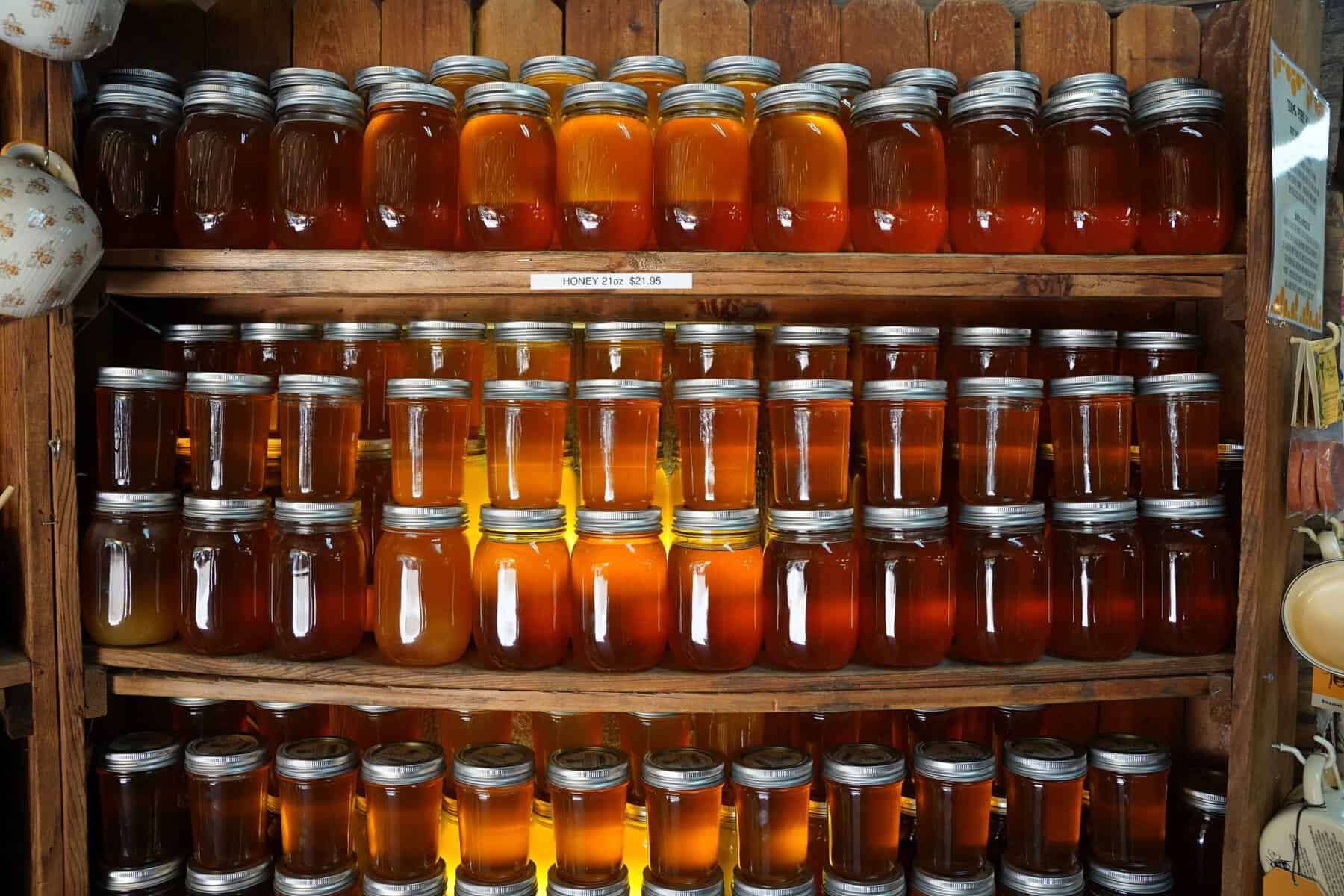 Forensic Audit Report: Federal Enforcement Actions Targeting Fraudulent and Adulterated Honey Markets (2013–2025 FY)